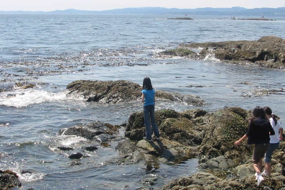 Beach 26.jpg